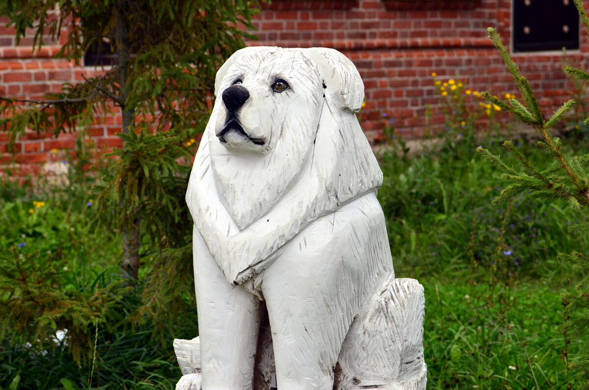 . - Дмитрий Шароватов