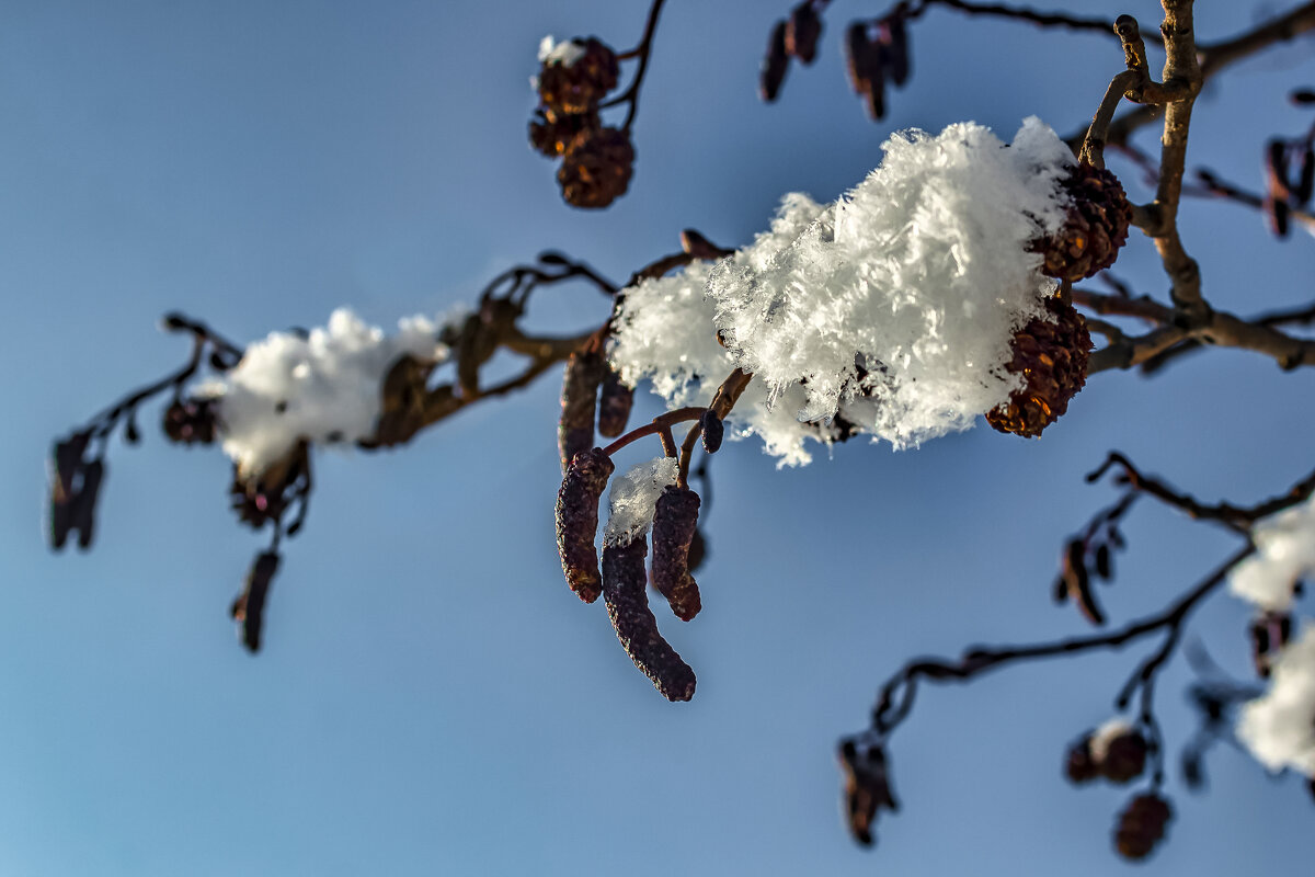 Руками не трогать - это на Восьмое Марта! - Игорь Викторов Руками не трогать - это на Восьмое Марта! - Игорь Викторов
