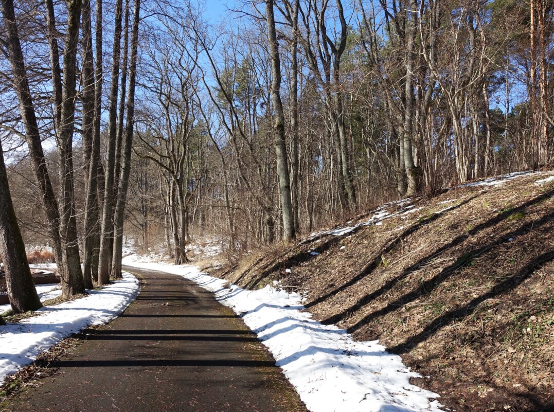 Дорожка в парке - Aida10 Дорожка в парке - Aida10