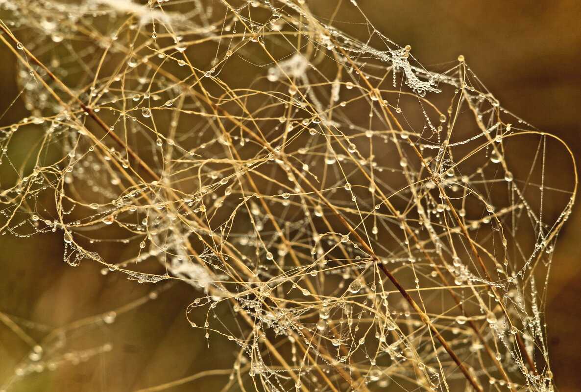 россыпь... - Александр Герасенков