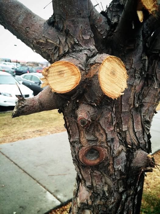 Кто-то "дорисовал"...:) - Валерий Кокорев