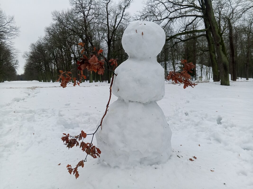 Снеговик - Сапсан 