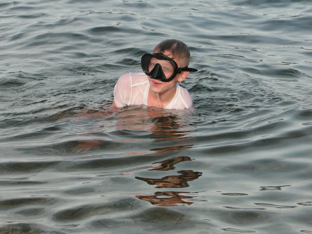 юный ныряльщик - Наталья Штанулина