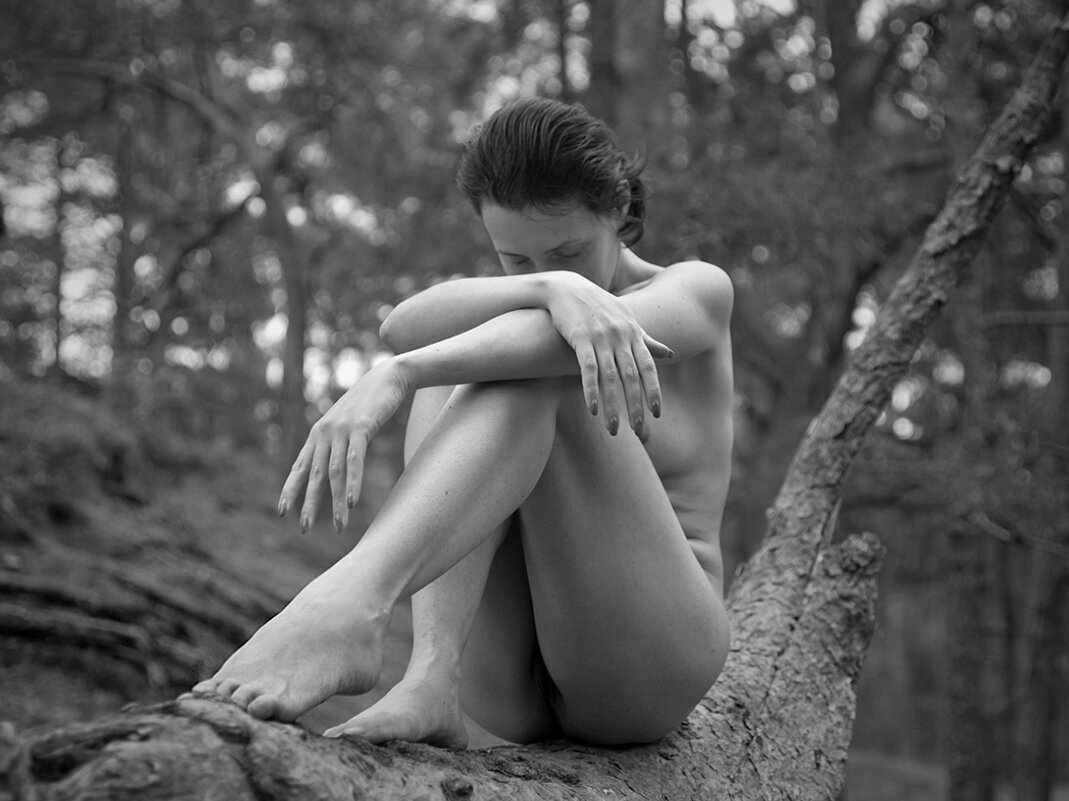 *** - Алексей Смирнов