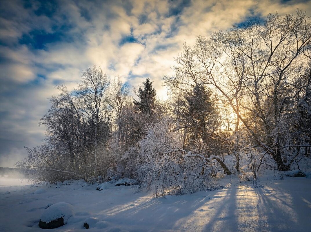 утро.... - Ольга Cоломатина