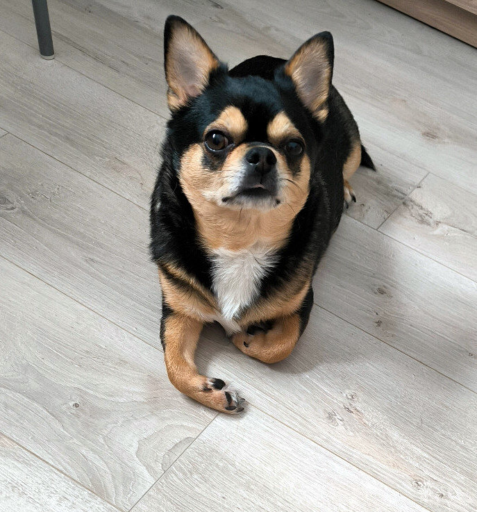 Боня - Елена 