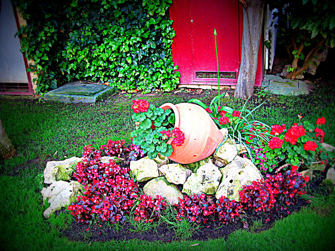 Клумба. - Владимир Драгунский