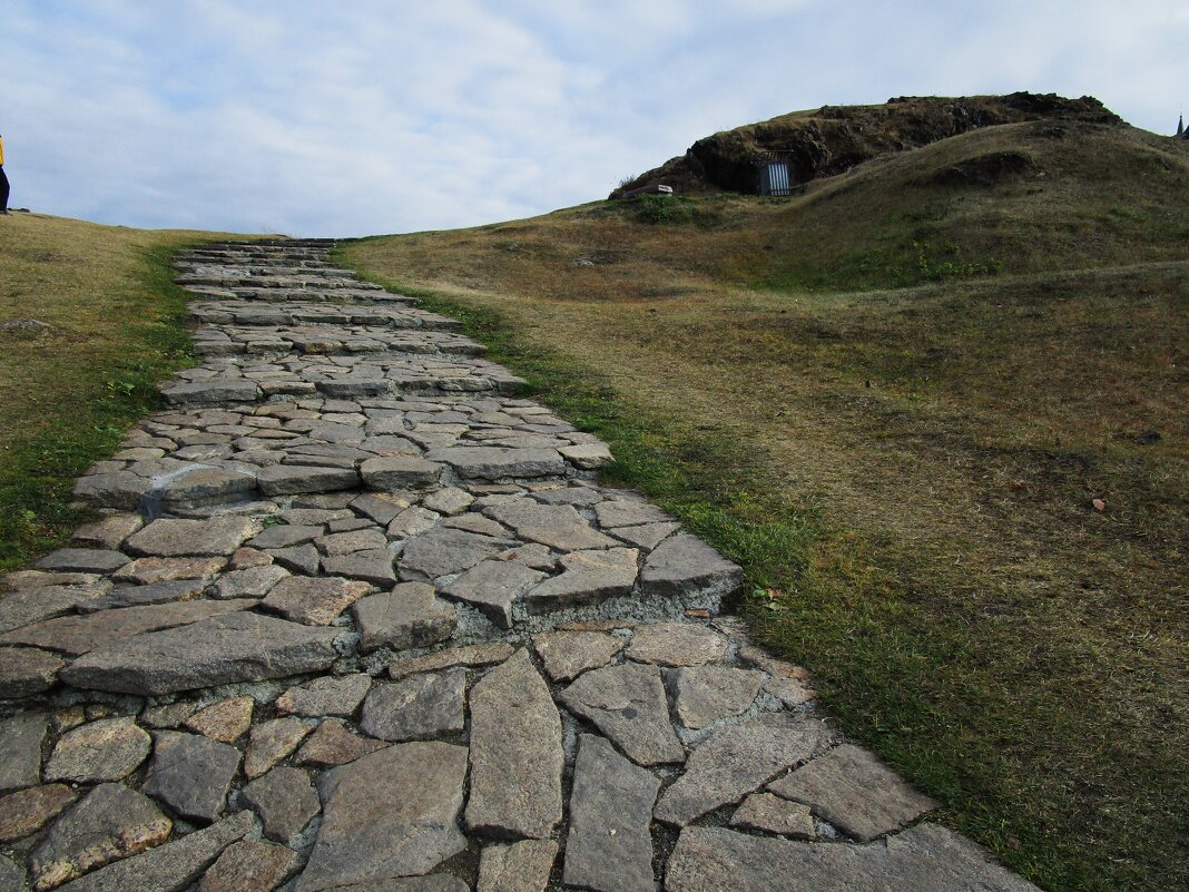 Лисья горка - Елена Шаламова