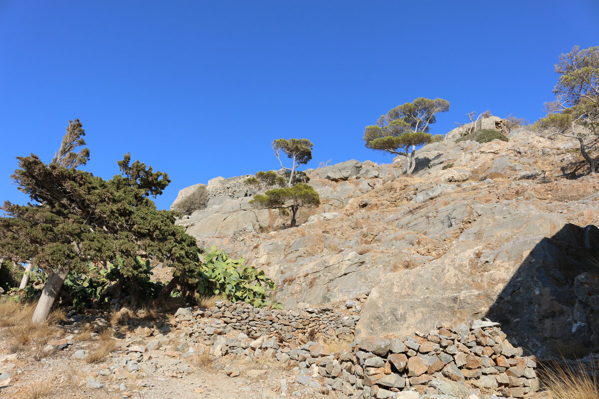 В горах Крита - Ольга 