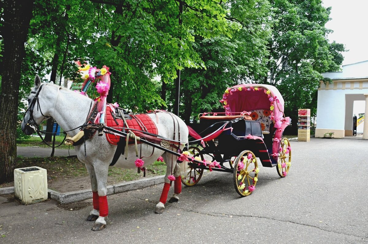 Карета подана. - Михаил Курзанцев