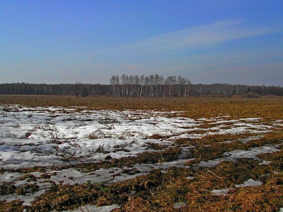 Троицк - Tata Wolf