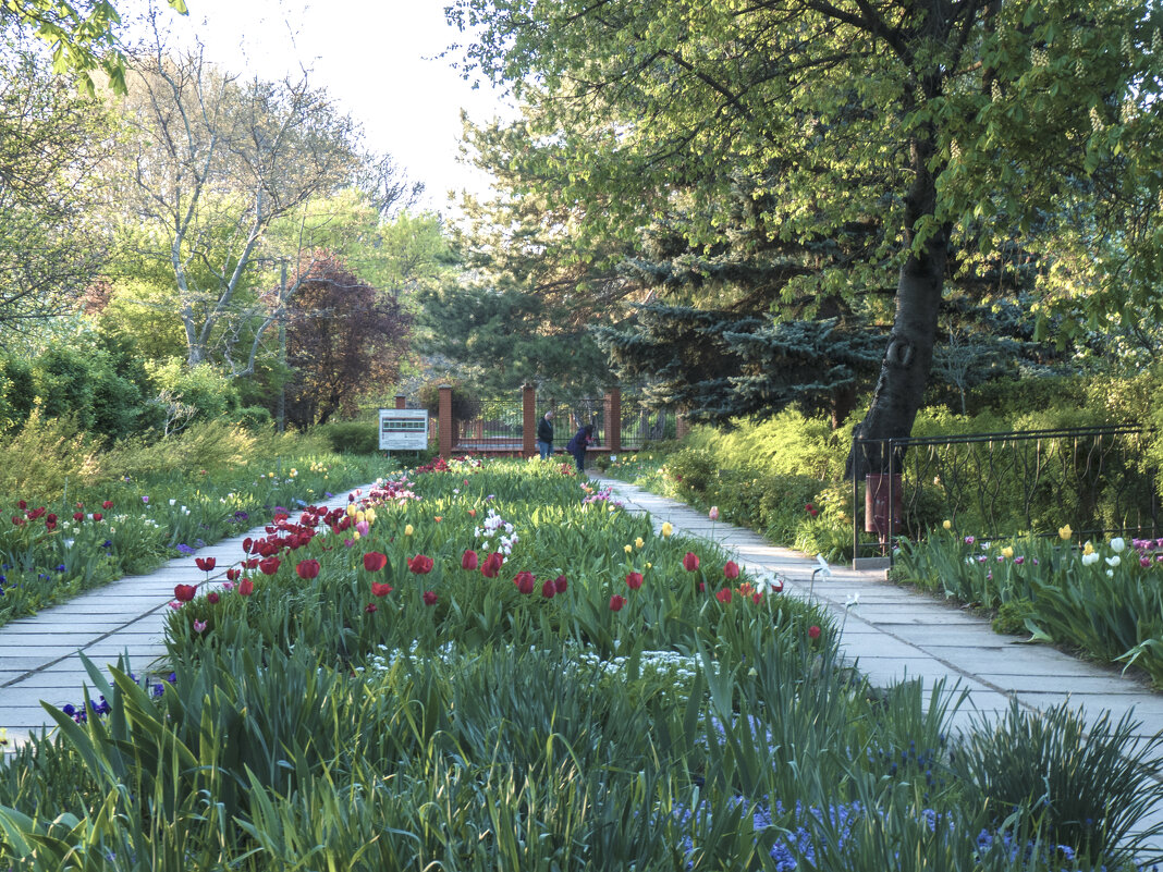 Весна  в  ТНУ - Валентин Семчишин