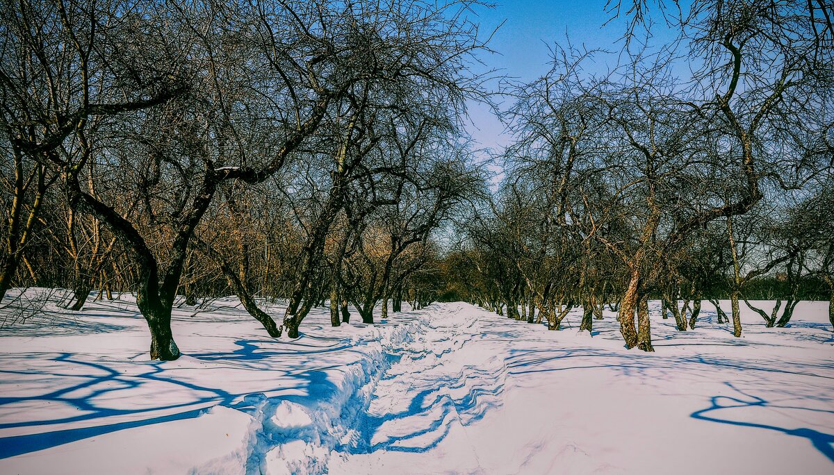Весна в Коломенском,,, - Анатолий Колосов