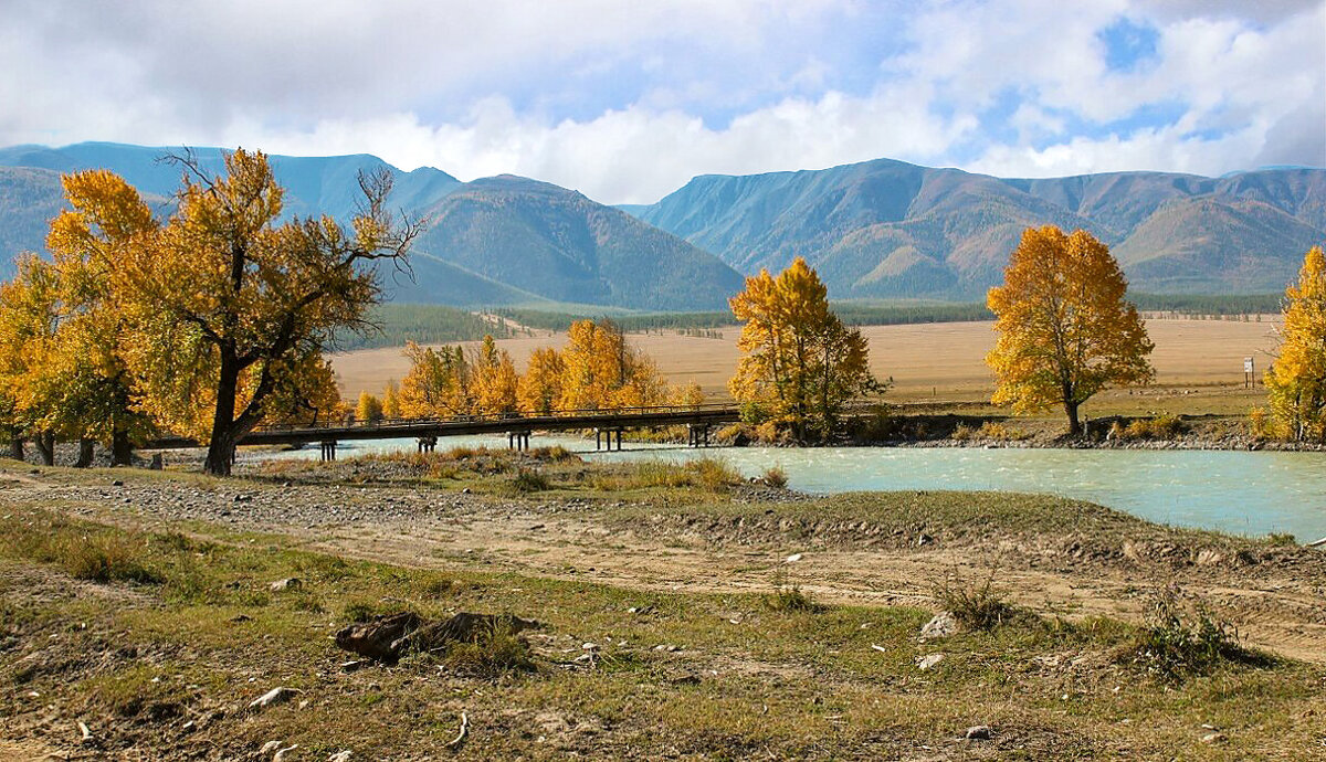 У моста через Чую - елена беликова
