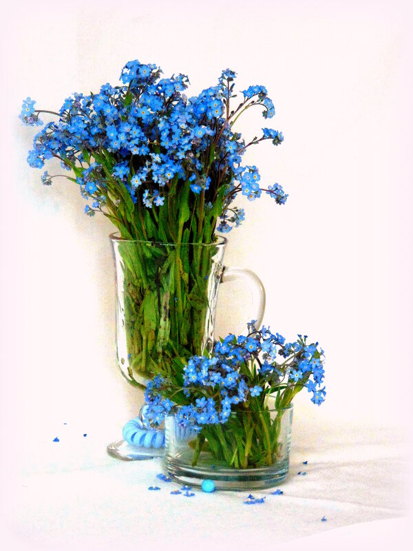 Незабудочки цветочки. - nadyasilyuk Вознюк