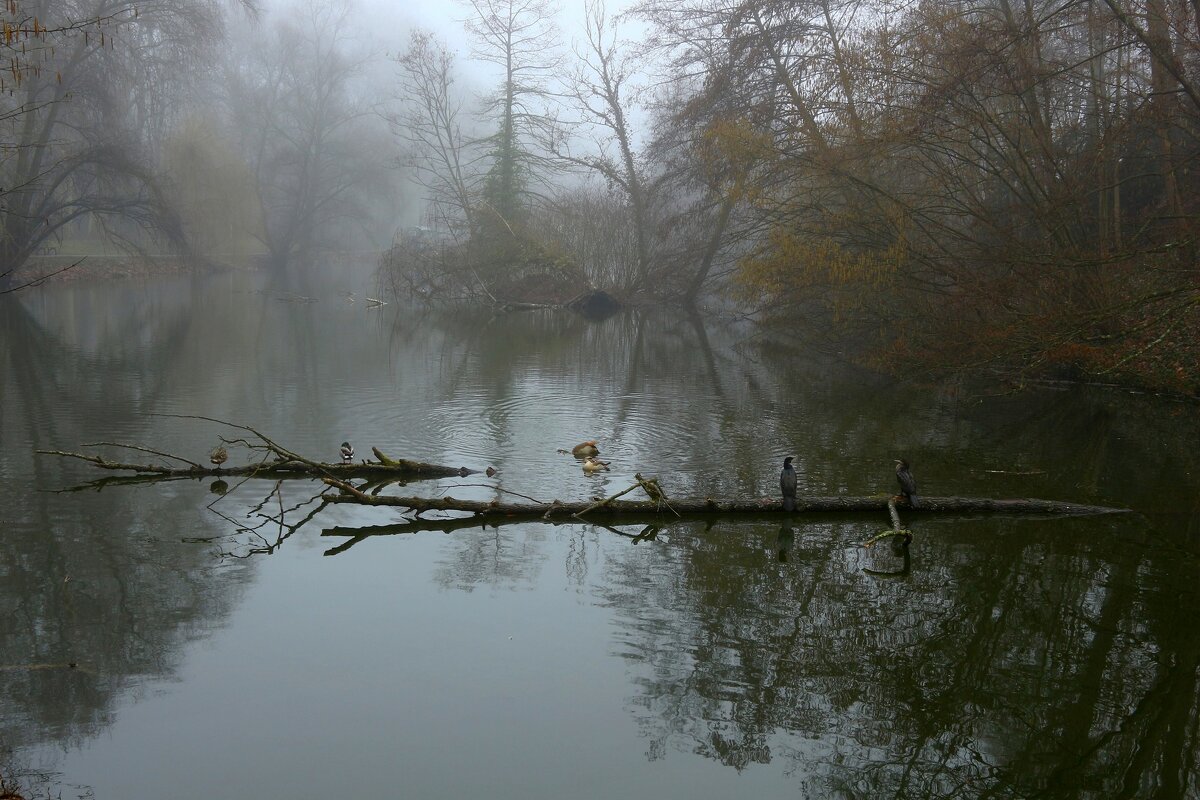 Призрачно все в этом мире бушующем, - Юрий. Шмаков