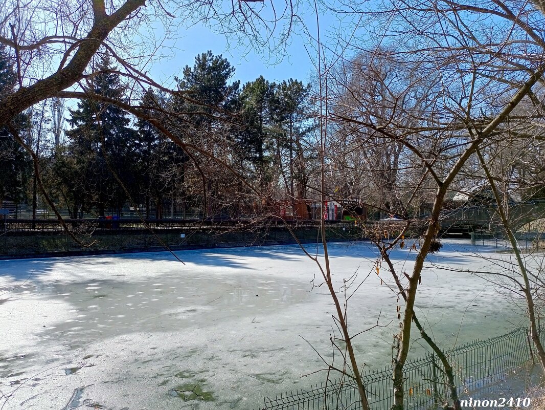 Март в ростовском зоопарке - Нина Бутко