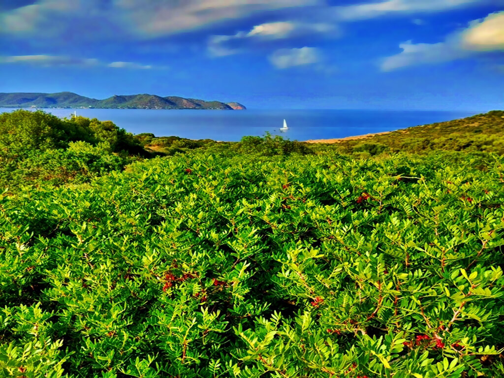 СРЕДИЗЕМНОМОРСКИЙ   ПЕЙЗАЖ - Анатолий Малобродский