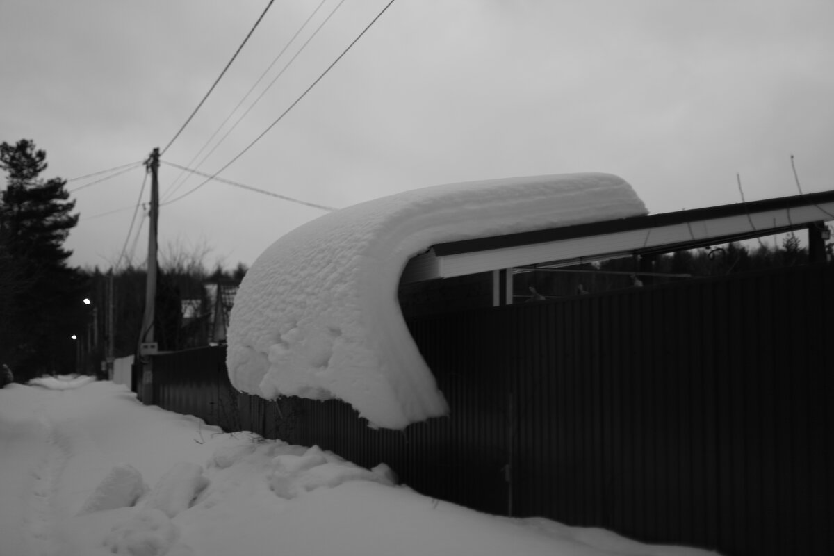 Мечты о ч/б Лейке 35. - Михаил Елочкин