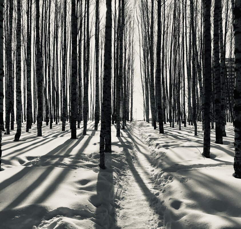 Мартовские тени - Татьяна 