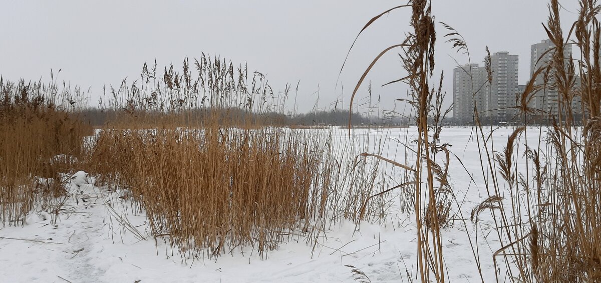 Зима - Наталья Герасимова