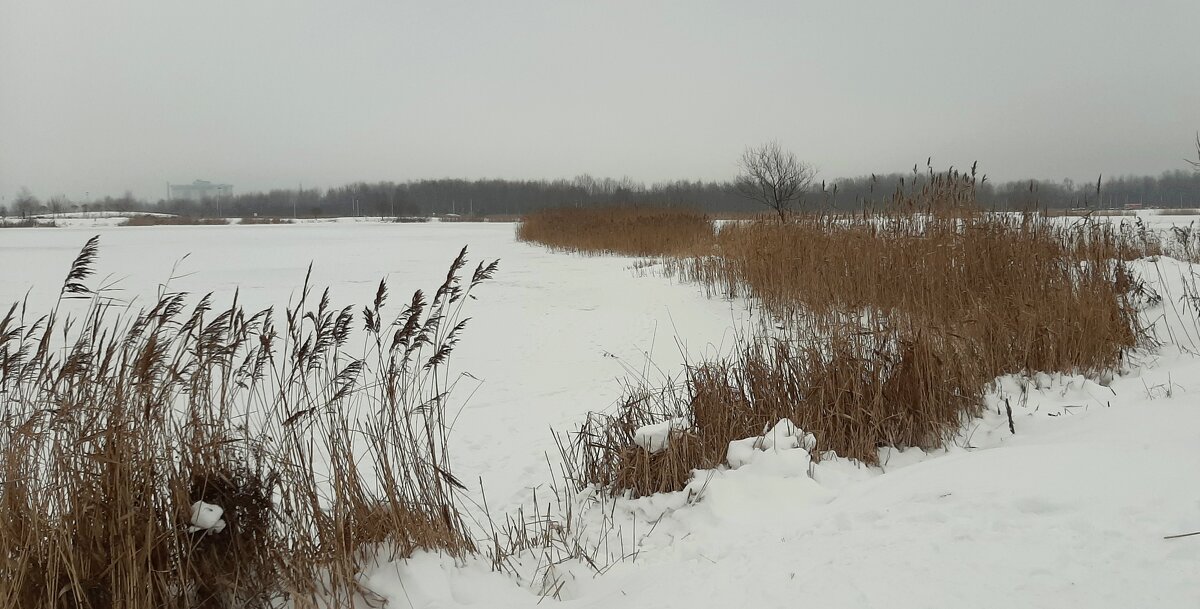 Зима - Наталья Герасимова