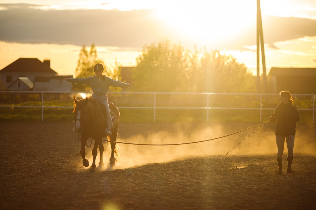 Первое занятие в конном клубе - Александр Гапеев