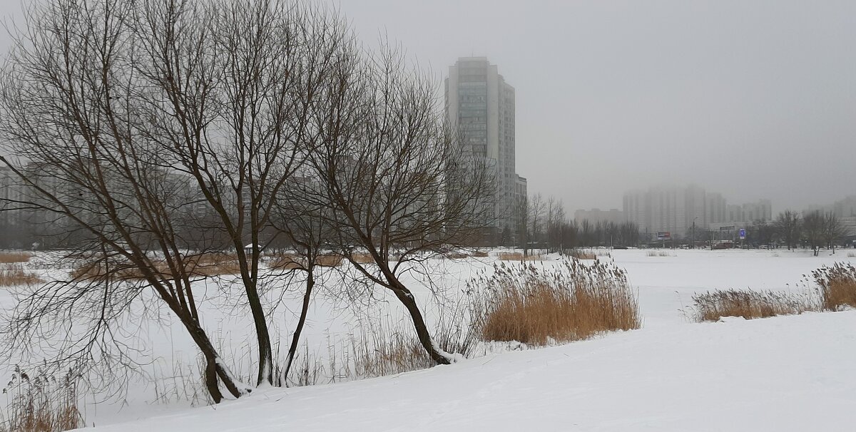 Зима - Наталья Герасимова