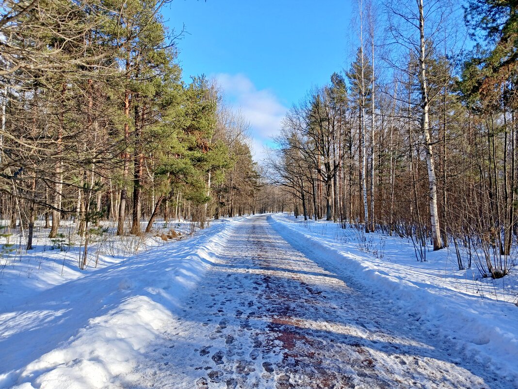 По дорогам марта - Лия ☼