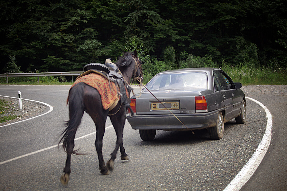 Одна лошадиная сила - Valziwa 