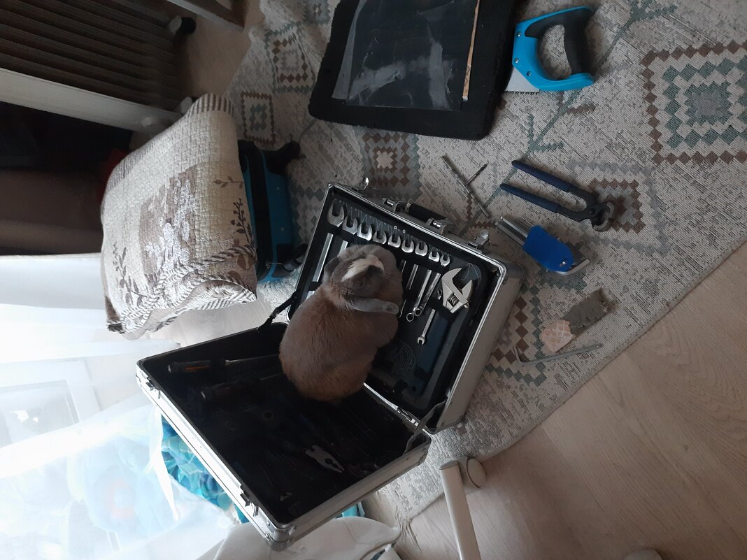 . - Алексей Неустроев