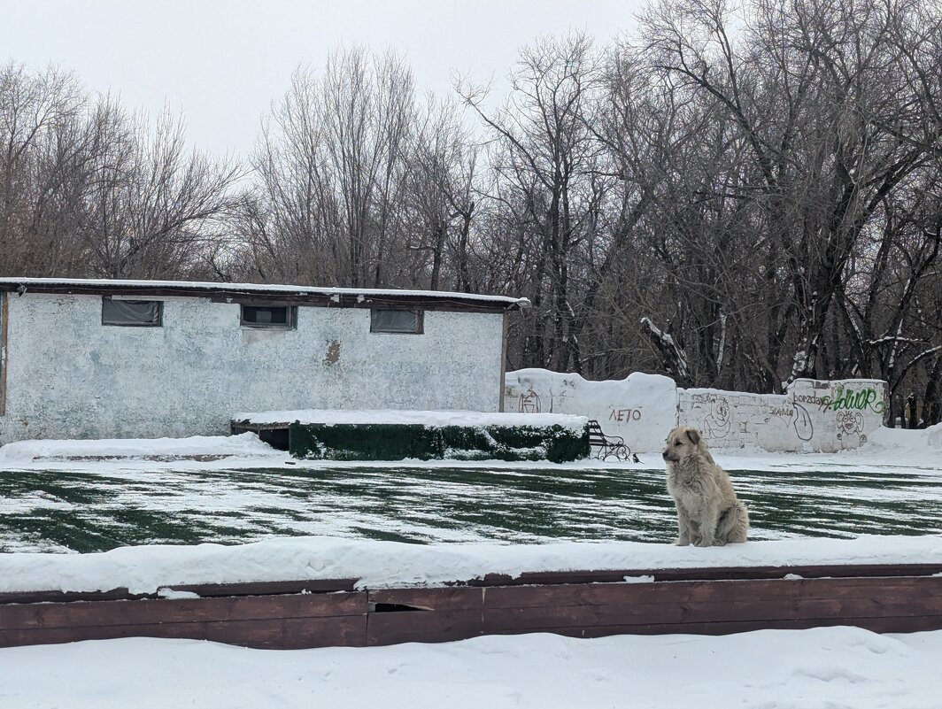 Тишина на танцевальной площадке.... - Андрей Хлопонин