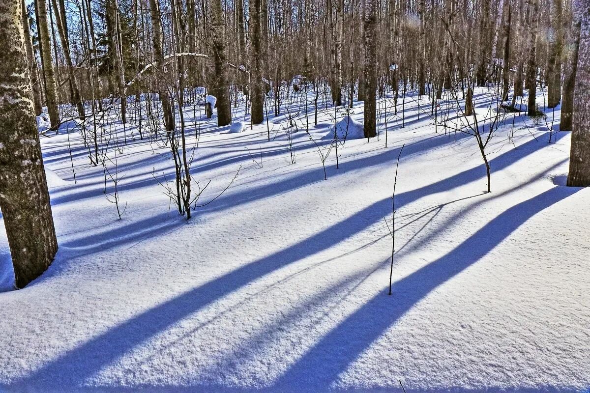 Март в тайге! - Владимир 
