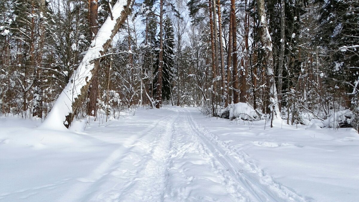 О минувшей зиме. - Милешкин Владимир Алексеевич 
