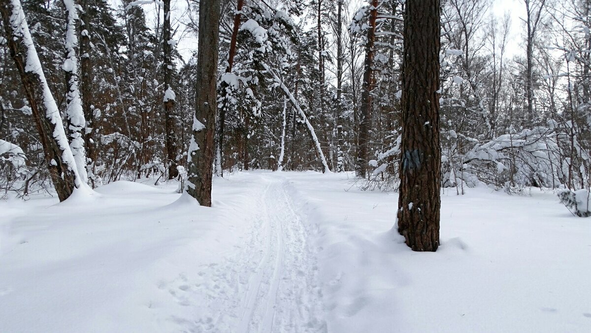О минувшей зиме. - Милешкин Владимир Алексеевич 