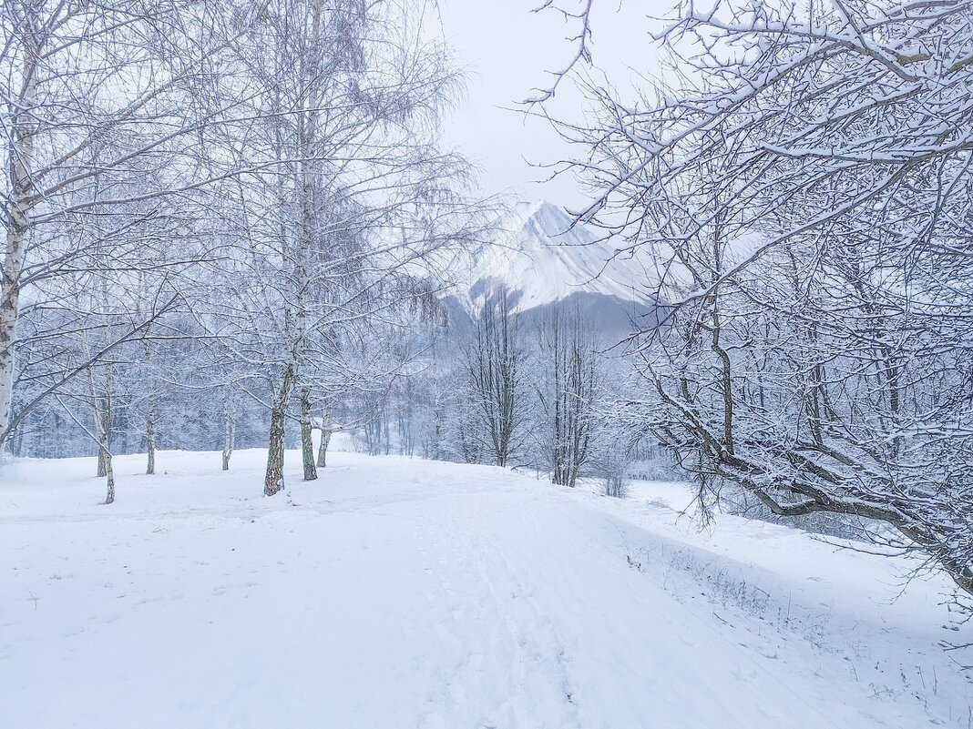 Снежная симфония весны ... - Ravile 