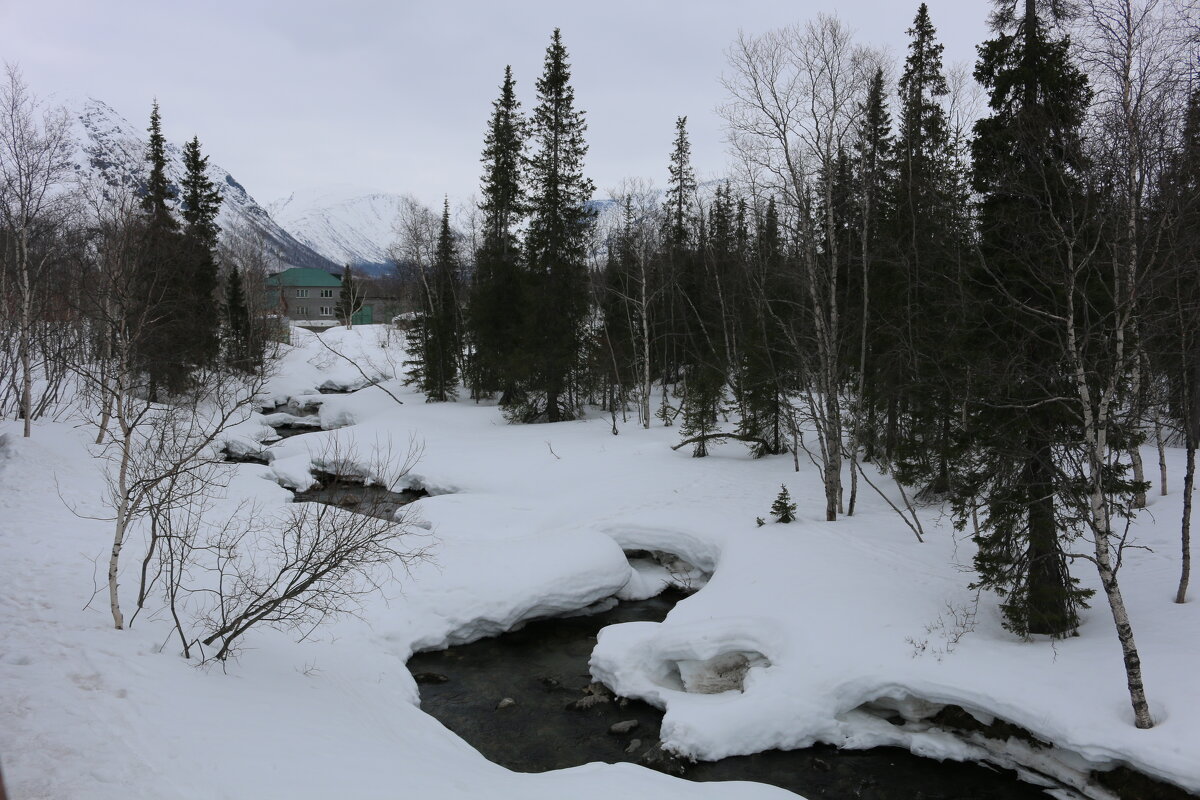 Весна в Хибинах - Ольга 