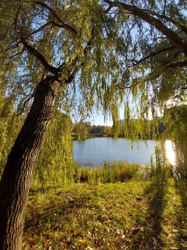 ... - Маргарита Б