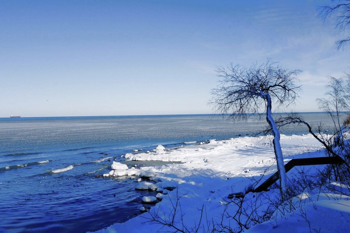Февраль, Балтийское море и побережье, Калининградская область - Рита Симонова