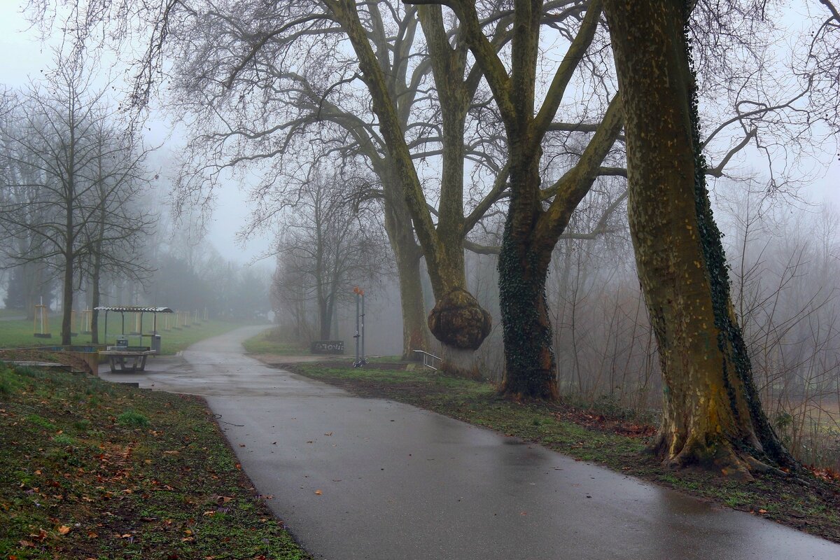 Дорога без конца, дорога без начала и конца .. - Юрий. Шмаков