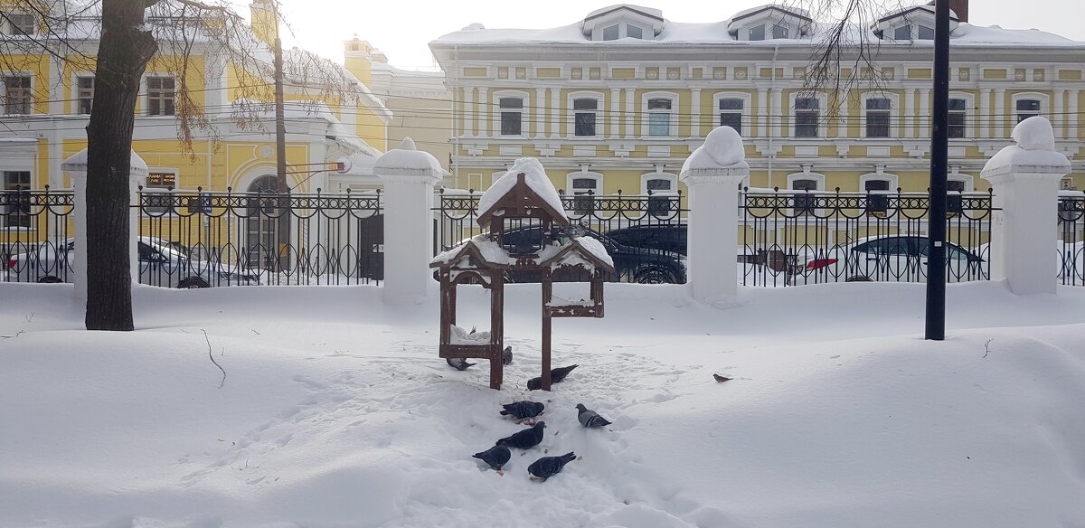 В городском парке - Galina Solovova