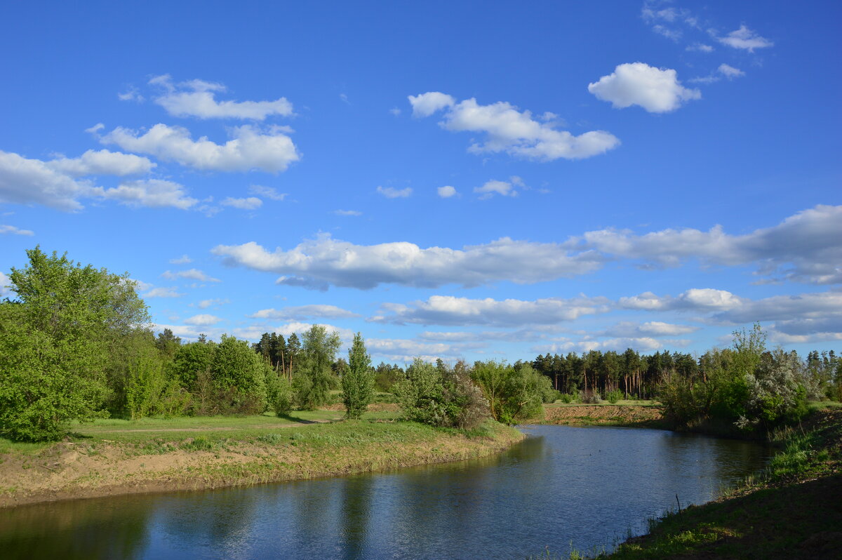Донские зарисовки. - Виктор Донские зарисовки. - Виктор