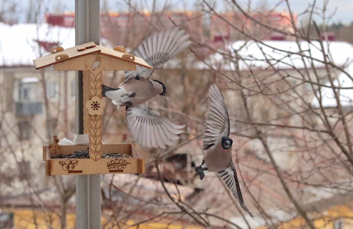 Смена состава. - Татьяна Бравая