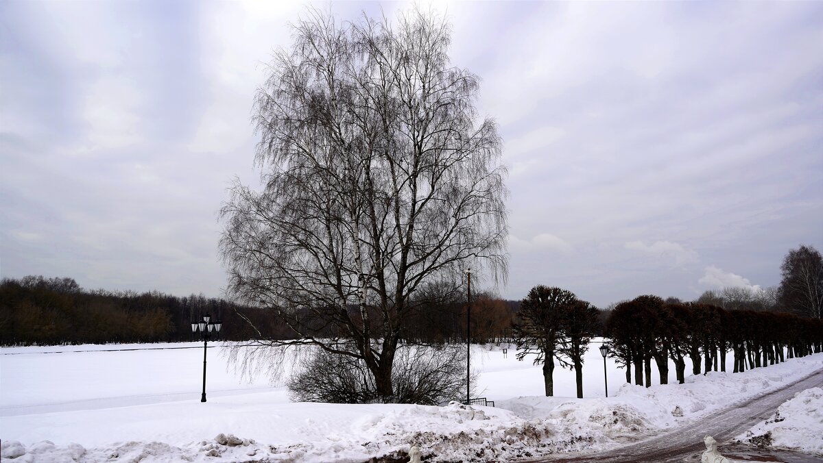 Март в Кусково - Татьяна Тюменка