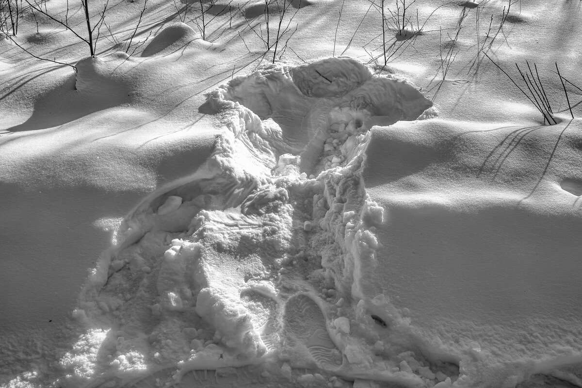 Нарушитель зимней красоты будет найден по отпечатку. - Игорь Викторов