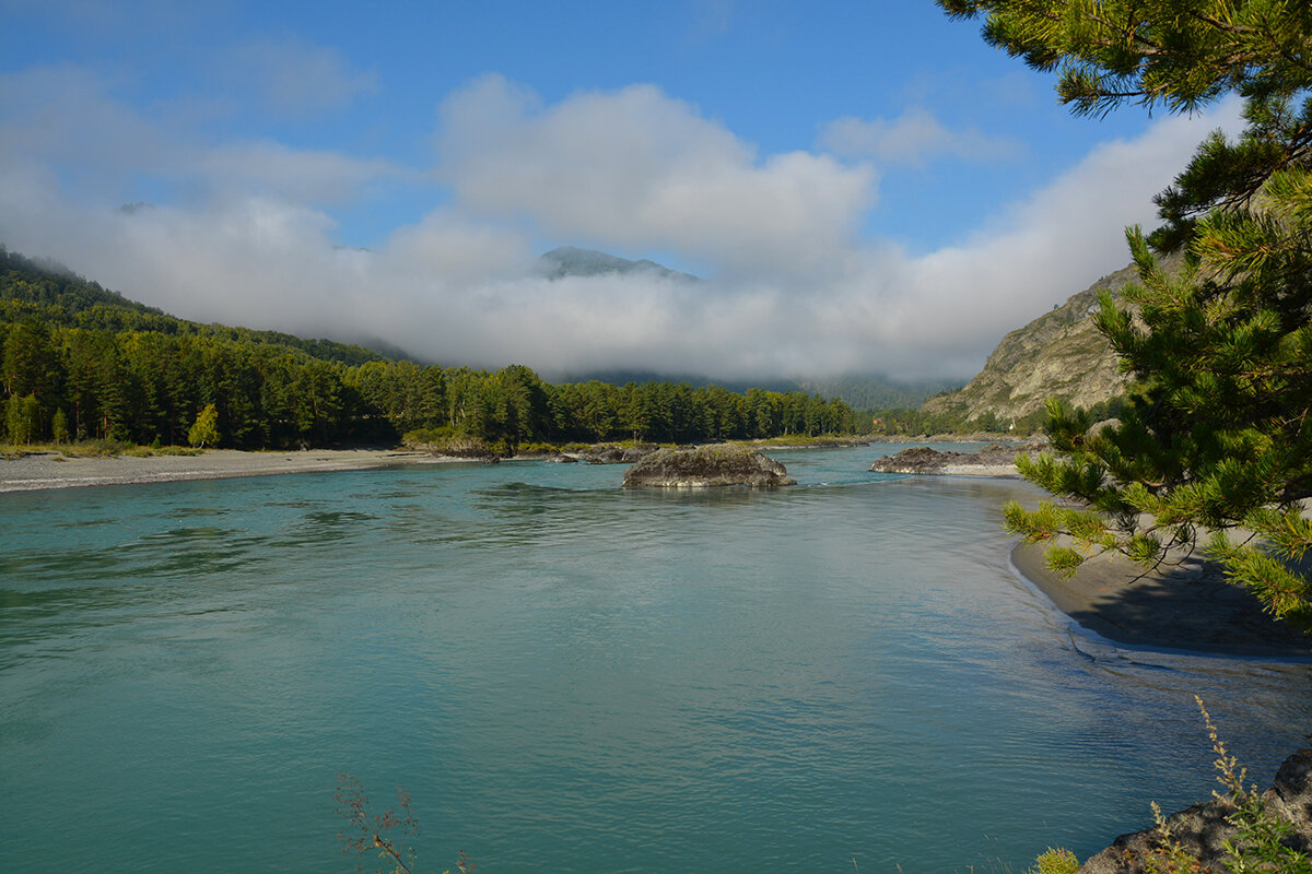 Туман над Катунью - Валерий Медведев