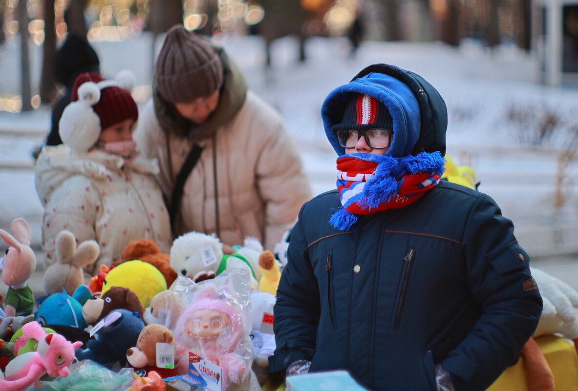 Продавец игрушек... - Владилен Панченко