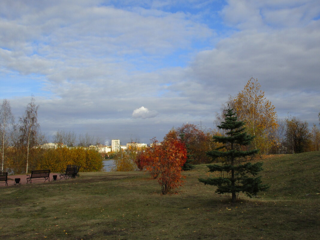 Нижний Тагил - Елена Шаламова