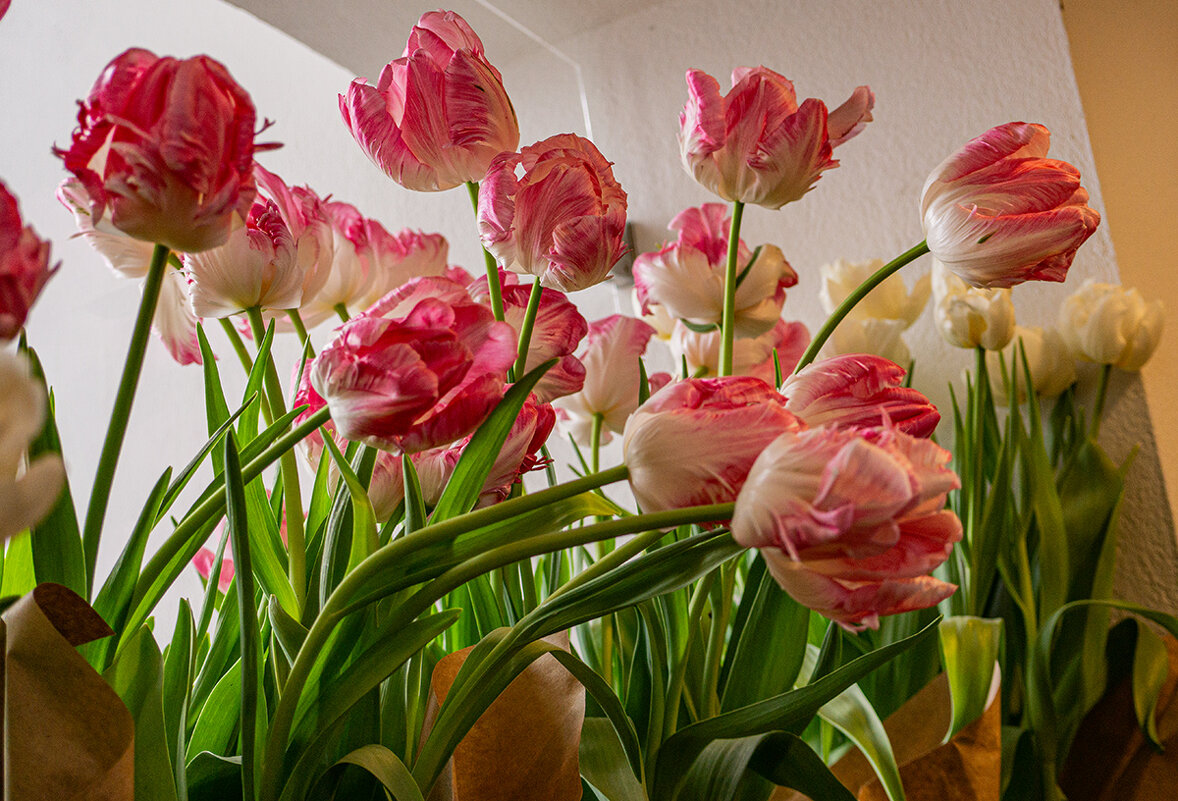 Весна. - Ирина Соловьёва