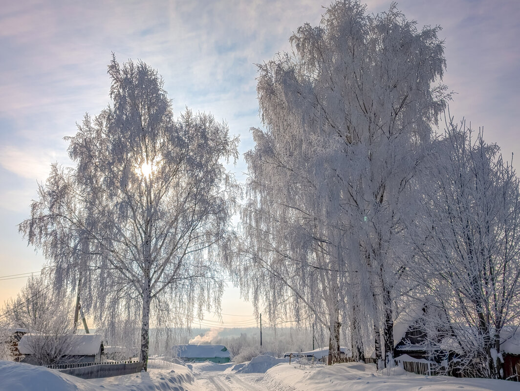 Нарядные березки - Анастасия Логинова